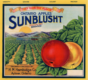 Sunblusht apple label of the H. M. Hambidge Co. Depicts a pair of apples with orchards in the background.