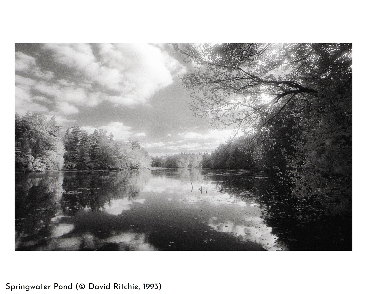 Springwater Pond (© David Ritchie, 1993)